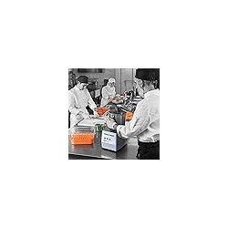 Robot Coupe BLIXER 4 Blixer Vertical Commercial High Speed Blender / Mixer, 4.5-Quart Stainless Steel Batch Bowl, 1 Velocidad, a